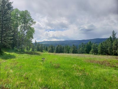 258XX Bridgeman Rettinger Rd, Kettle Falls, WA, 99141