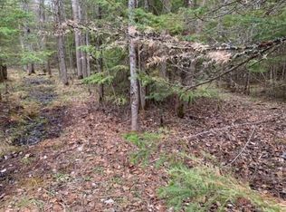 Bell Rd, Hillman, MI 49746