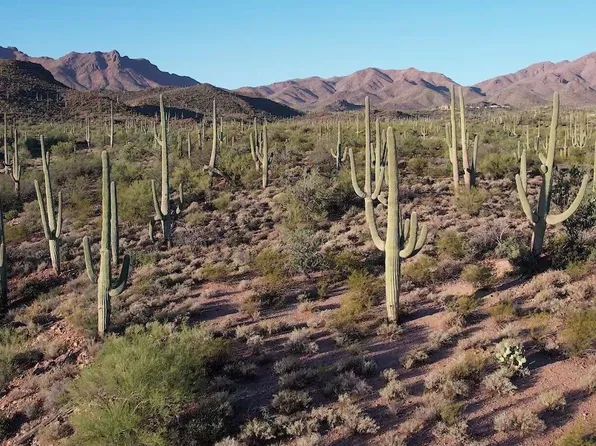 4146 N Gerhart Rd, Tucson, AZ 85745