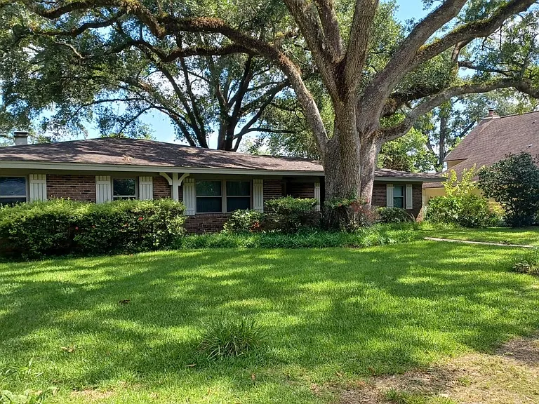 Front Yard