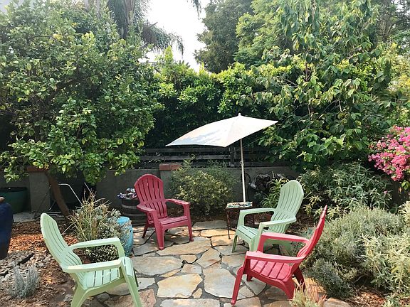 Lemon and cherimoya trees