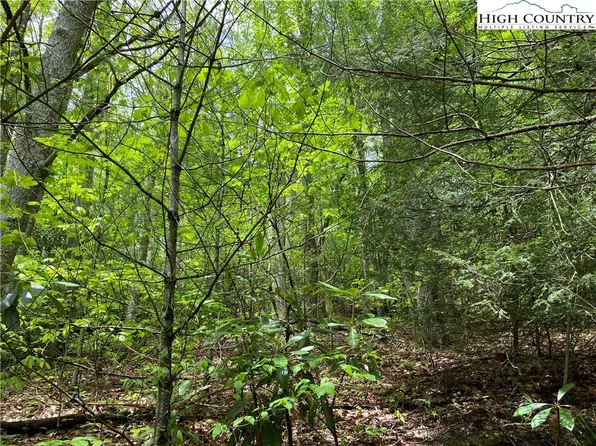Lot 58 Rhoneys View, Newland, NC 28657