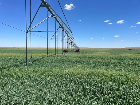 255 Canta Ranas Rd E #255, Estancia, NM 87016