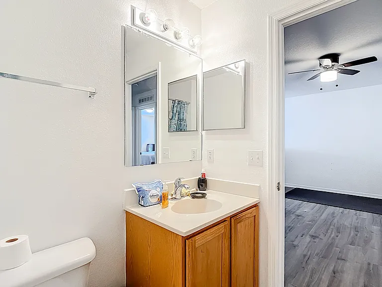 Your hallway bathroom.