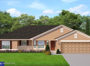 2473 Caretta Ave, Spring Hill, FL 34609