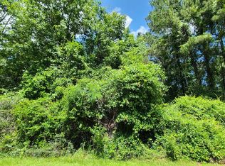 227 E Sunnybrook Rd, Carriere, MS 39426