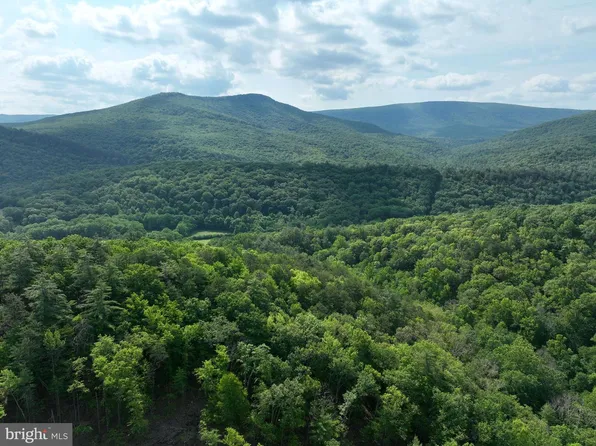 Thorn Bottom Rd, Wardensville, WV 26851