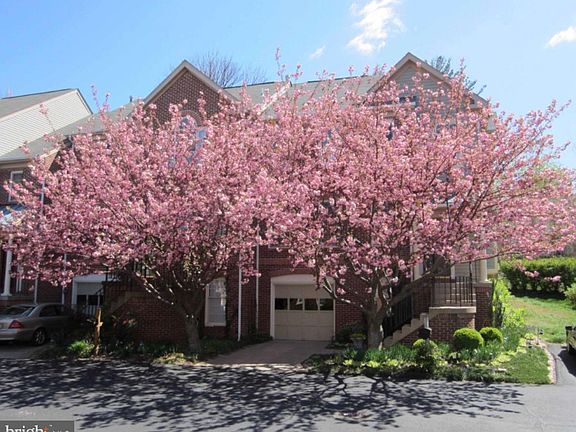 3rd image of 146 Mosby Cir