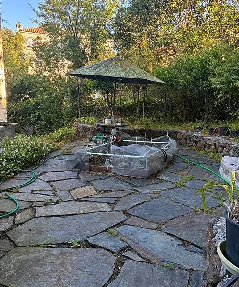 330A Sheridan Ave — Photo 2