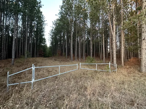 Townline Rd, Grayling, MI 49738
