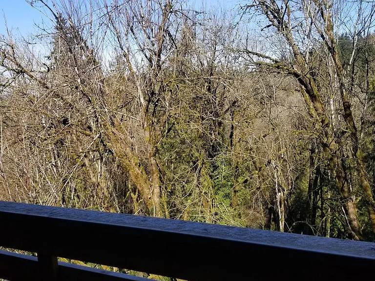 Welcome Home to Stone Creek Apartments at Oregon City! — Photo 59