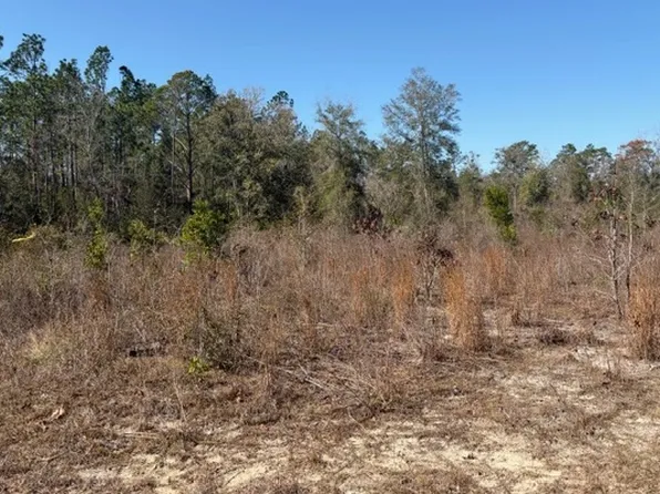 Tbd 103rd Dr, Obrien, FL 32071