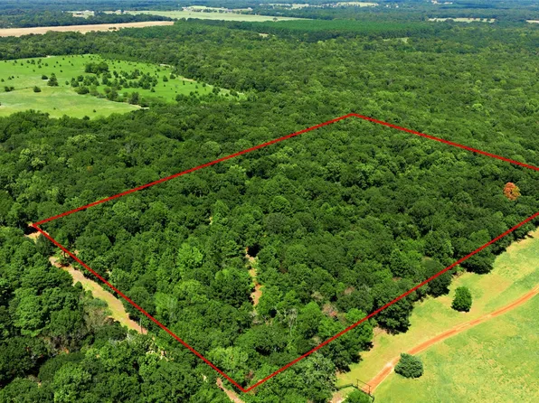 County Road 3613, Murchison, TX 75778