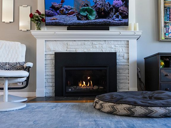 Gas fireplace