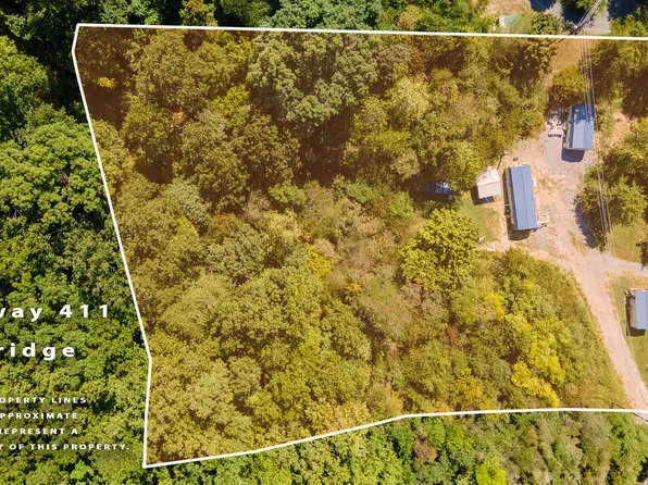 3287 Old Highway 411, Dandridge, TN 37725