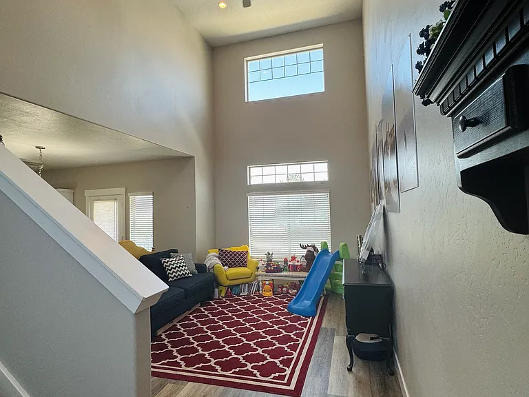 Primary Family Room/Living Room