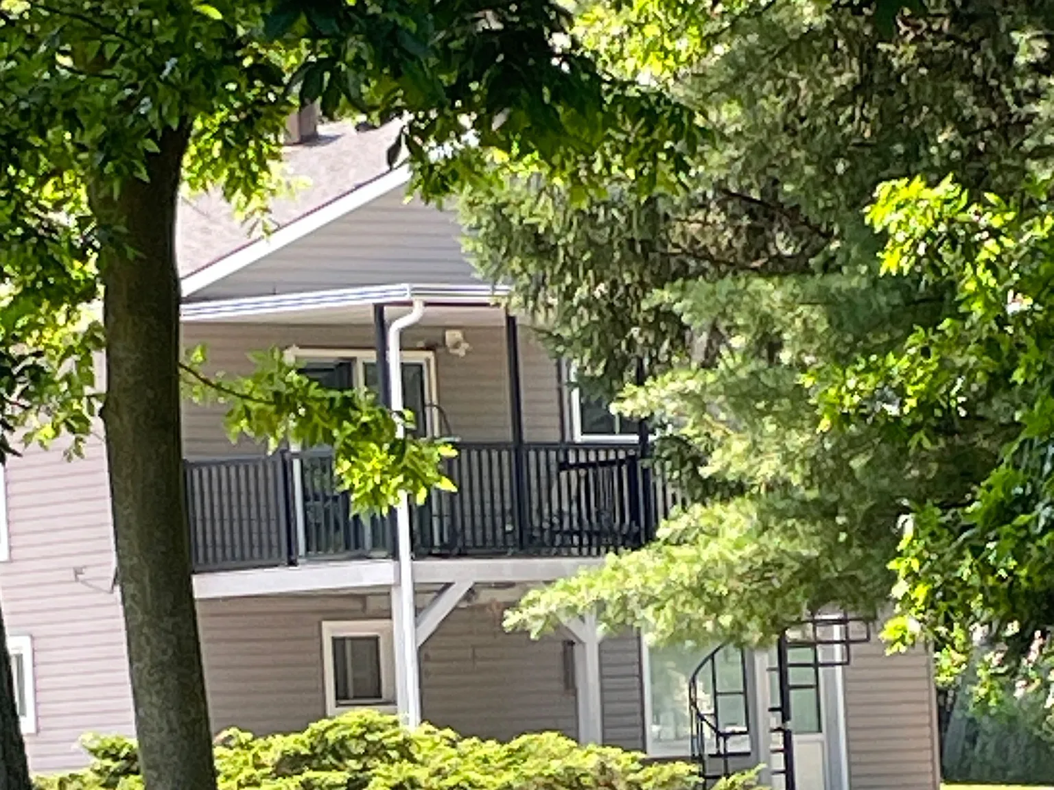 3 bed, $2,900 — Photo 3