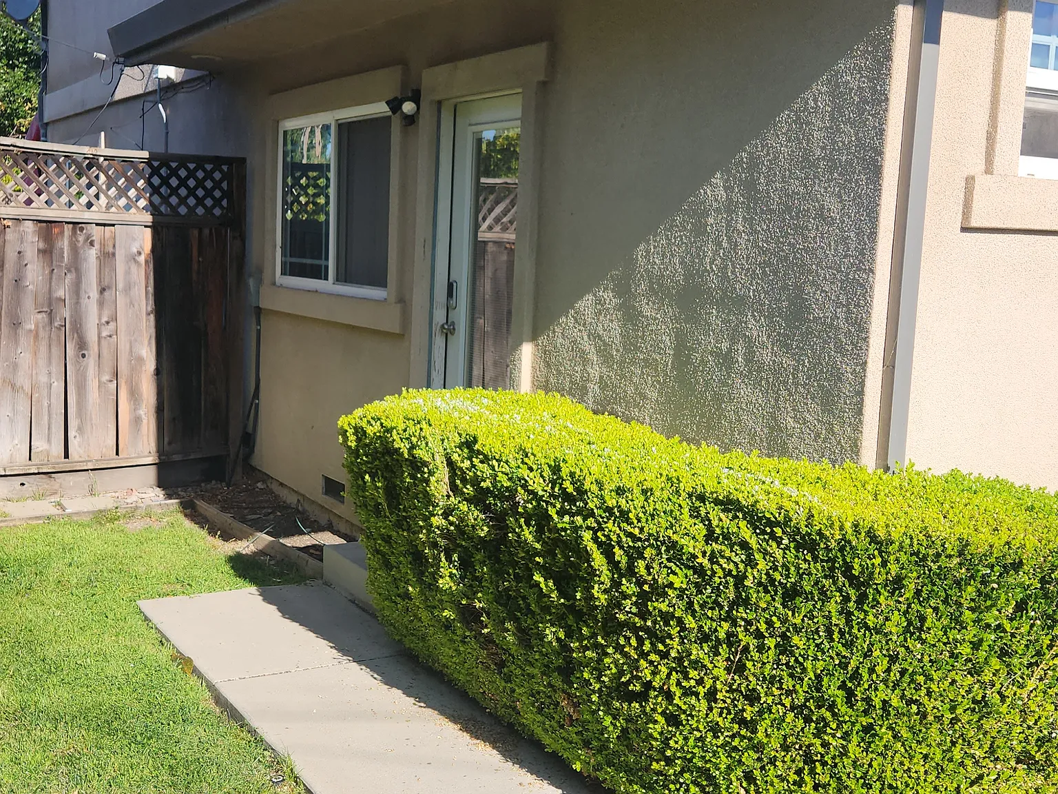 Studio, 300 sqft, $1,650 — Photo 4