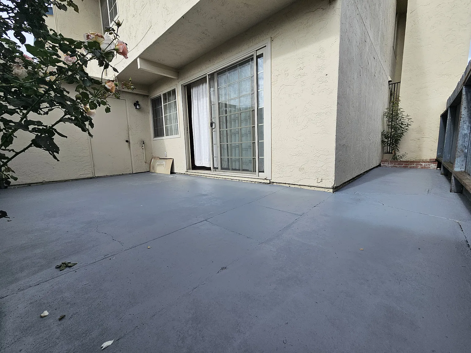 3 bed, 1.5 bath, 1130 sqft, $3,500 — Photo 4