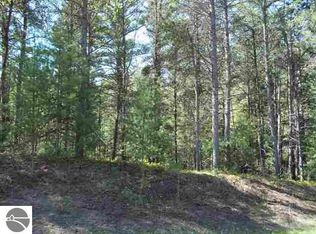 PARCEL 10 Wheeler Pines Dr, Williamsburg, MI 49690