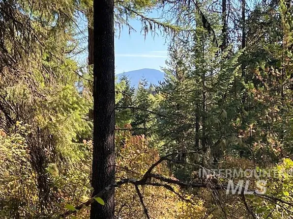 Rustic Cabin, Harvard, ID 83834