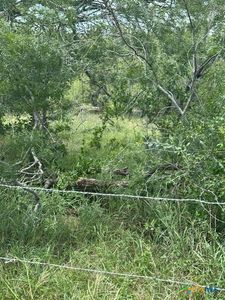 Dowdy Rd, Kingsbury, TX, 78638
