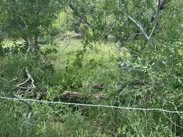 Dowdy Rd, Kingsbury, TX 78638