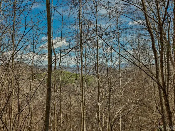 Lot 47 Yellow Palmer Lane, Tuckasegee, NC 28783