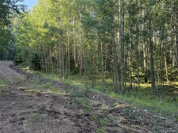 Lot 5331 Hull Road LOT 5331, Fort Garland, CO 81133