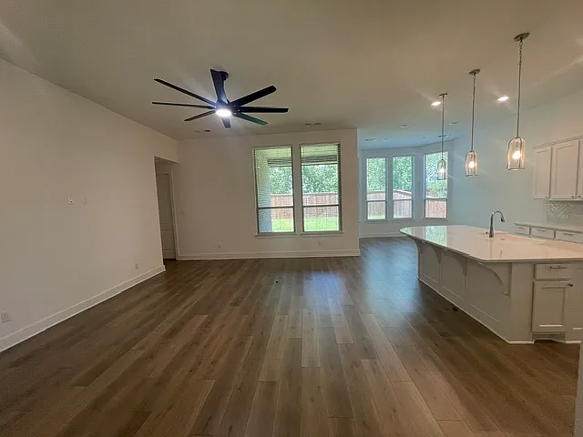 4317 Sanctuary Dr — Photo 5