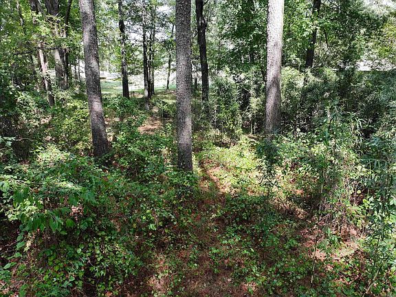 4th image of Dooley Dr