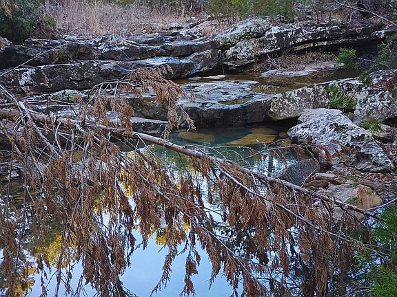 2nd image of Panola