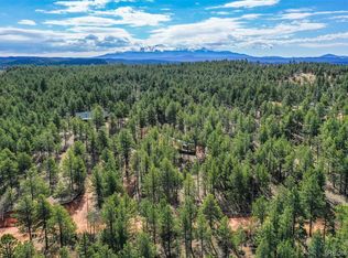 465 Peak View Cir, Florissant, CO 80816