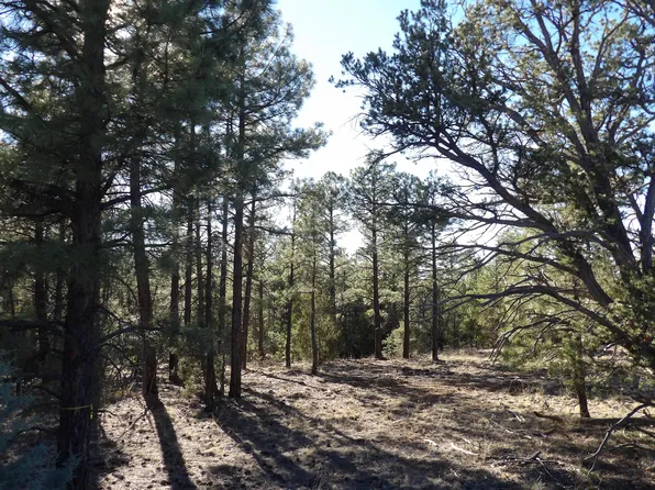 5365 Twin Oaks Loop, Happy Jack, AZ 86024