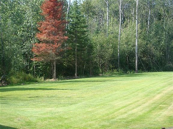 wood view