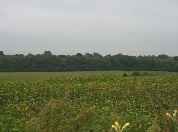 2nd image of 120 Maupin Cir Lot 27