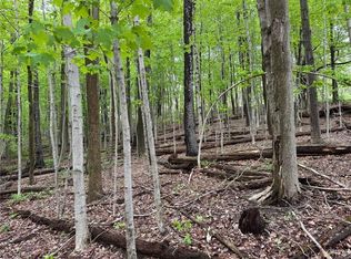 Old State Rd #12, Erieville, NY 13061