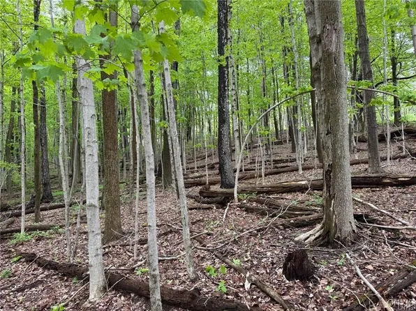 Old State Rd #12, Erieville, NY 13061