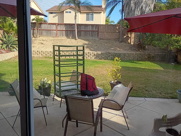 Backyard