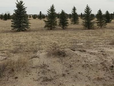 8212 Airpark Hts, Peyton, CO, 80831