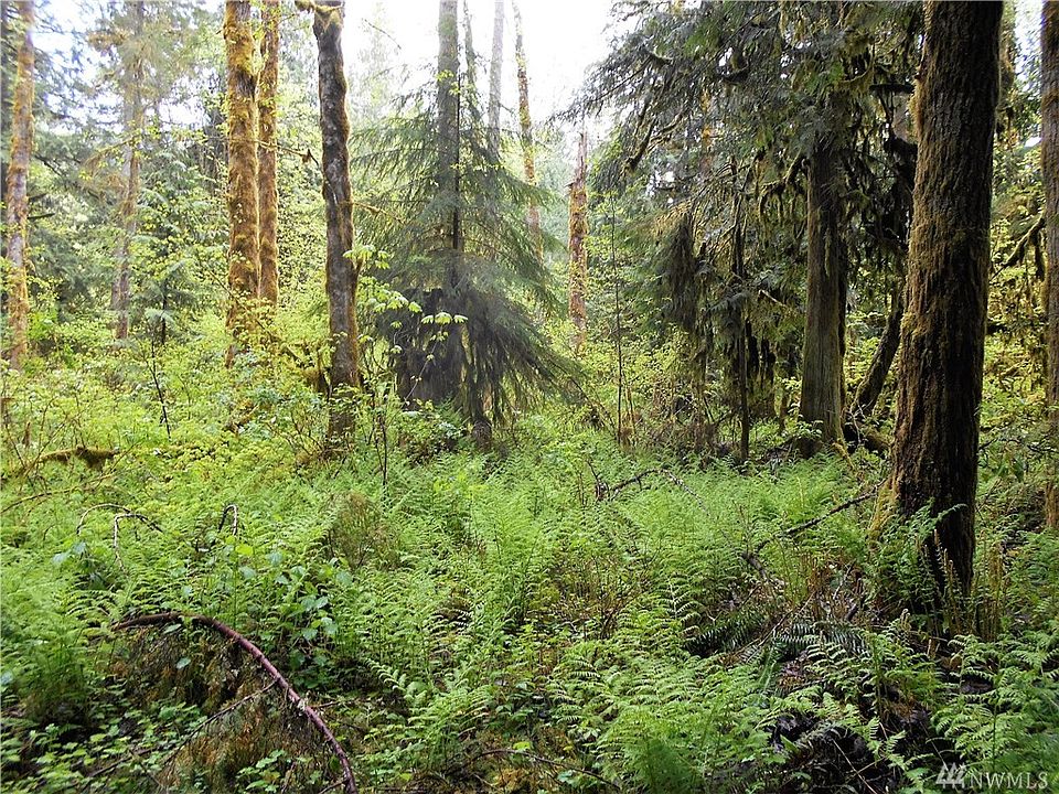 2nd image of 8830 Mount Baker Hwy