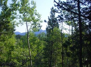 651 S Dory Lakes Dr, Black Hawk, CO 80422