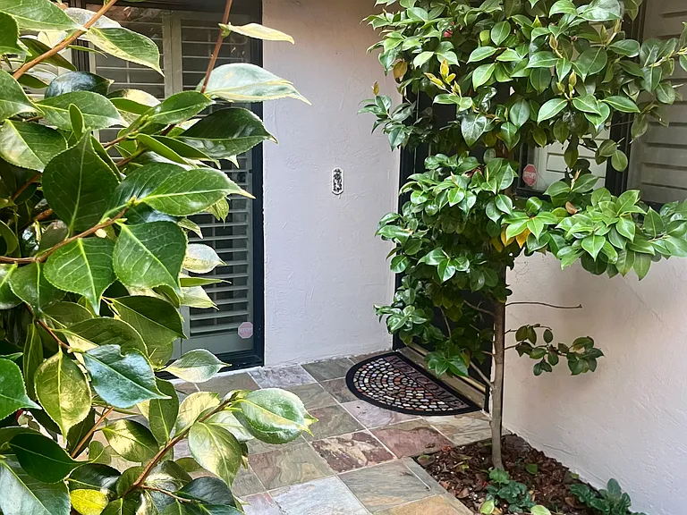 15 Grande Paseo — Photo 2