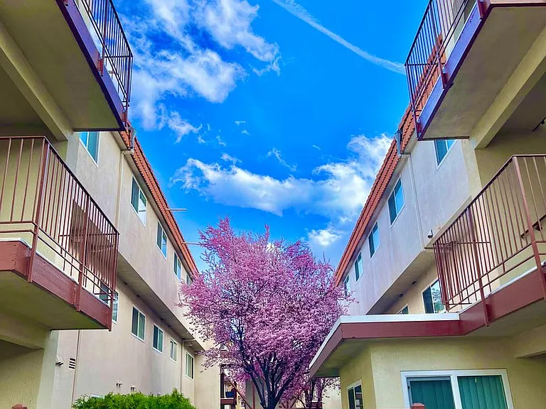 Sherwood Forest Apartments — Photo 47