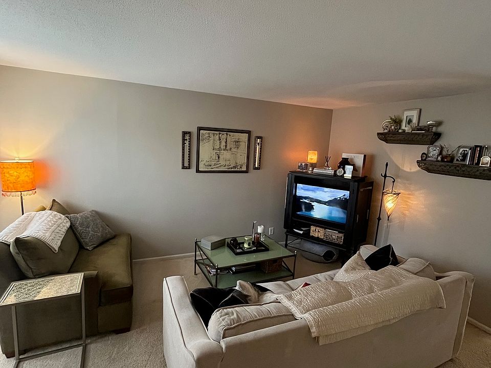 Carpeted living room with floor to ceiling windows with great afternoon light.