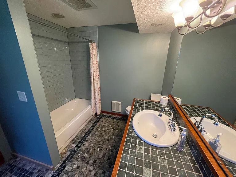 Master Bathroom (main level)
