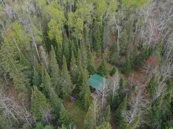 7355 W Melrude Rd, Cotton, MN 55724