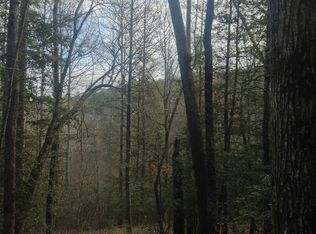 16 Idle Ln, Blue Ridge, GA 30513