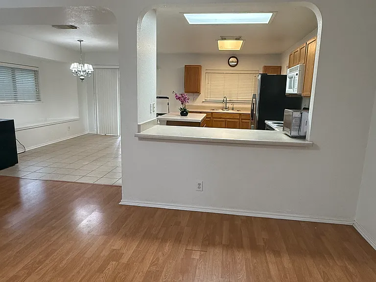 7254 Dwarf Palm — Photo 4