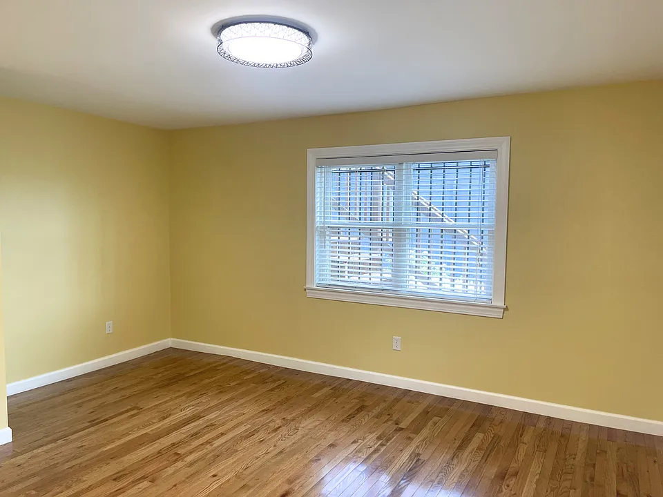 17 Proctor St #1